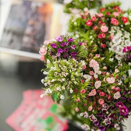 Ivanka 3* تروغير